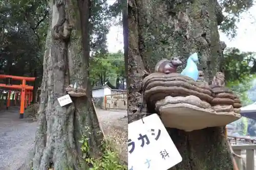 吉備津彦神社の自然