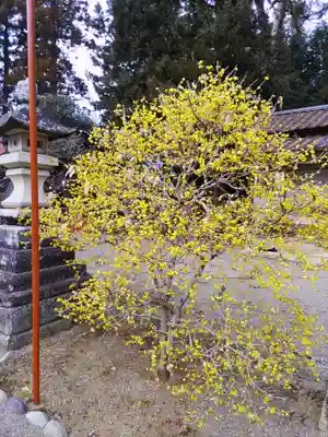 芳賀天満宮(栃木県)