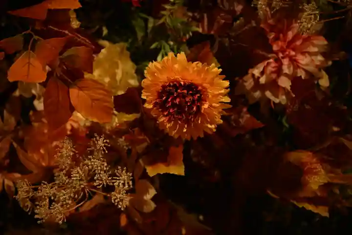 金蛇水神社(宮城県)