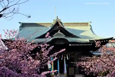 桜神宮の本殿・本堂