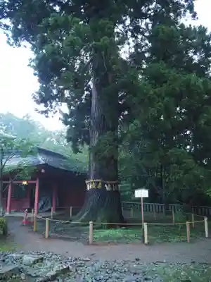 志波彦神社・鹽竈神社のその他建物