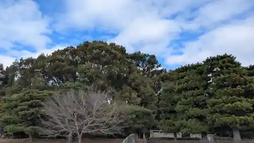 菟道稚郎子尊宇治墓のお墓