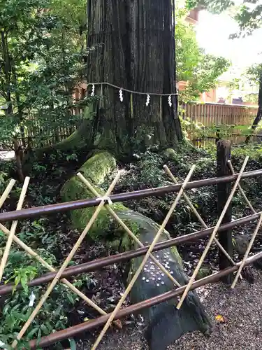 須佐神社の自然