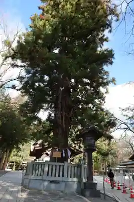 諏訪大社下社秋宮(長野県)