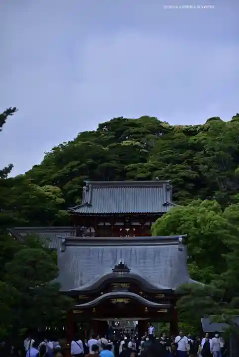 鶴岡八幡宮(神奈川県)