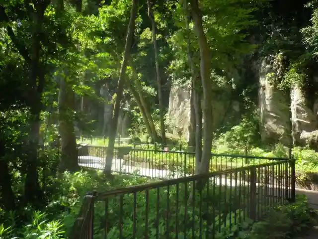 合槌稲荷社跡(遺構)の自然