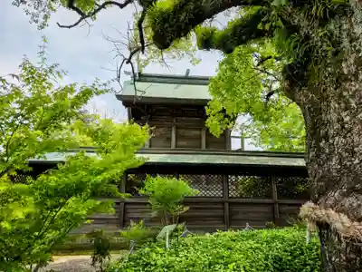 志賀神社(佐賀県)