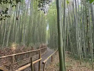 野宮神社(京都府)