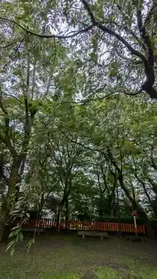 松ヶ崎大黒天 妙圓寺（妙円寺）(京都府)