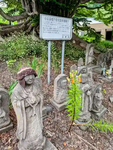 黄金龍神社（桂不動）(北海道)