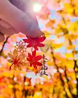 土津神社|こどもと出世の神さま(福島県)
