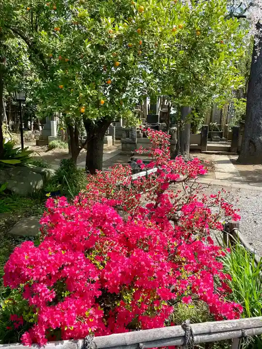 本行寺(東京都)