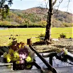 高司神社〜むすびの神の鎮まる社〜の手水