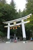 宝登山神社(埼玉県)
