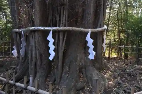 大國魂神社の{uncategorized: "未分類", other: "その他", undefined: "問題あり", building: "その他建物", grave: "お墓", sacred_gate: "鳥居", guardian: "狛犬", statue: "像", buddha: "仏像", history: "歴史", nature: "自然", garden: "庭園", animal: "動物", pagoda: "塔", temizu: "手水舎", mountain_gate: "山門・神門", sanctuary: "本殿・本堂", subordinate: "末社・摂社", art: "芸術", scenery: "景色", jizo: "地蔵", ema: "絵馬", goshuin: "御朱印", omikuji: "おみくじ", items: "授与品その他", amulet: "お守り", goshuincho: "御朱印帳", eats: "食事", festival: "お祭り", votive_dance: "神楽", shichigosan: "七五三参", wedding: "結婚式", experience: "体験その他", initially: "初詣", around: "周辺", anti_infection: "感染症対策"}