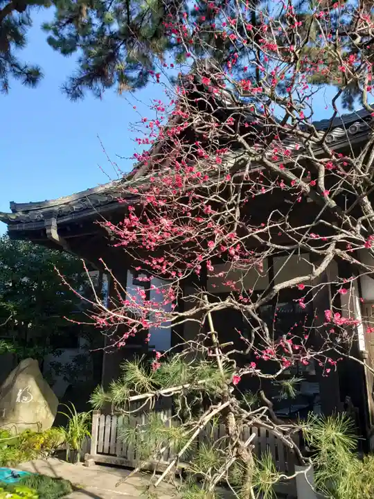 玄国寺(東京都)