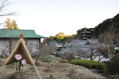 當麻寺(奈良県)