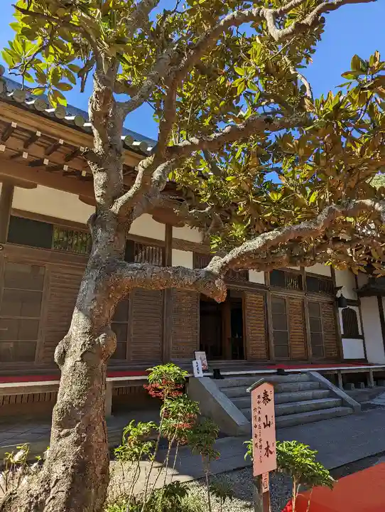 佛日庵(神奈川県)