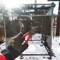 七重浜海津見神社(北海道)