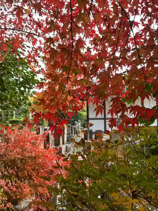 常照寺(京都府)