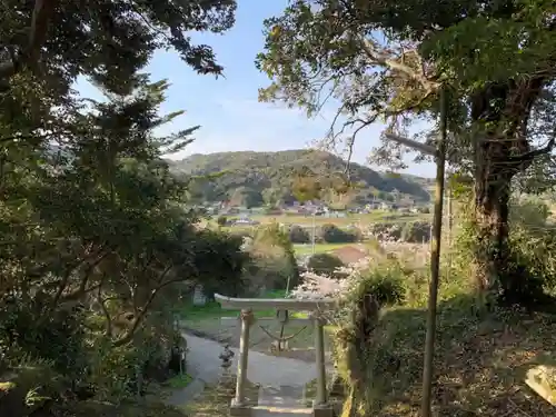 日吉神社の鳥居