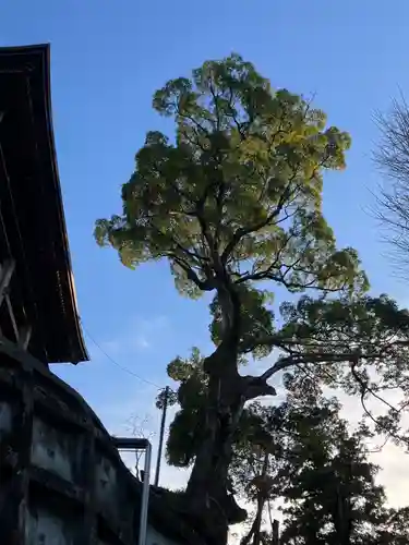 笠森寺(千葉県)