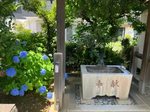 醫藥神社(神奈川県)