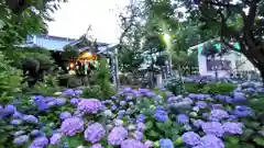 白山神社の庭園