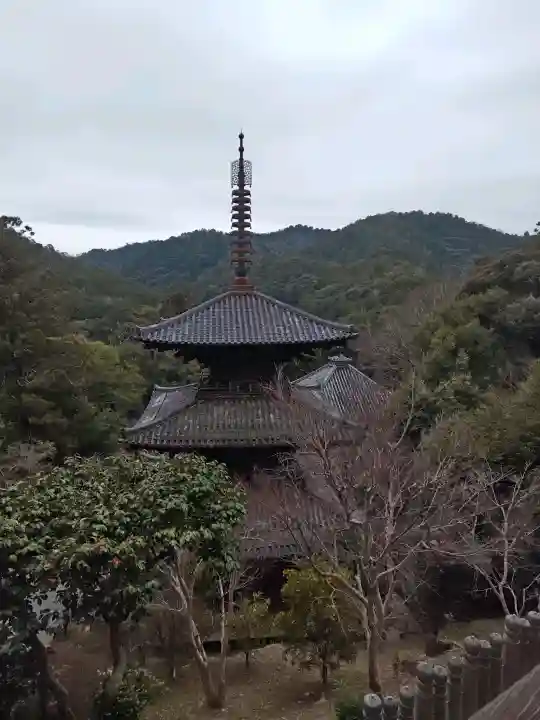 一乗寺の{uncategorized: "未分類", other: "その他", undefined: "問題あり", building: "その他建物", grave: "お墓", sacred_gate: "鳥居", guardian: "狛犬", statue: "像", buddha: "仏像", history: "歴史", nature: "自然", garden: "庭園", animal: "動物", pagoda: "塔", temizu: "手水舎", mountain_gate: "山門・神門", sanctuary: "本殿・本堂", subordinate: "末社・摂社", art: "芸術", scenery: "景色", jizo: "地蔵", ema: "絵馬", goshuin: "御朱印", omikuji: "おみくじ", items: "授与品その他", amulet: "お守り", goshuincho: "御朱印帳", eats: "食事", festival: "お祭り", votive_dance: "神楽", shichigosan: "七五三参", wedding: "結婚式", experience: "体験その他", initially: "初詣", around: "周辺", anti_infection: "感染症対策"}