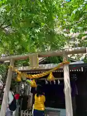 茶ノ木神社の鳥居