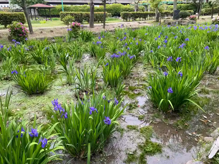 知立神社の自然