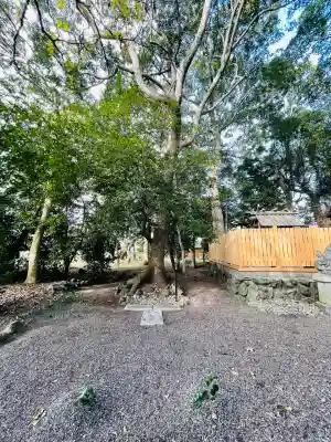 八玉神社(三重県)