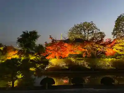 東寺（教王護国寺）(京都府)