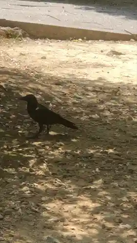 豊国廟（豊国神社飛地境内）(京都府)