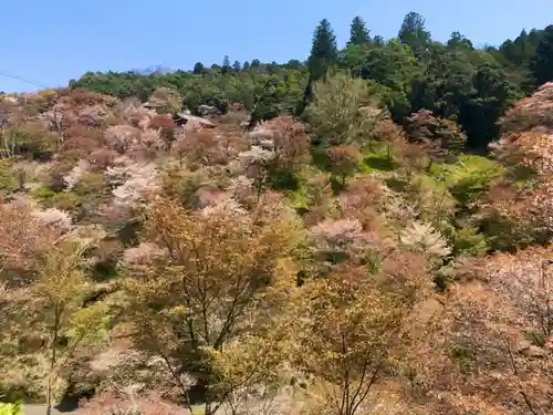 如意輪寺の景色