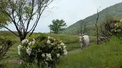 小豆島大観音仏歯寺(香川県)
