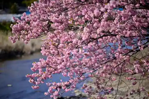 川津来宮神社(静岡県)