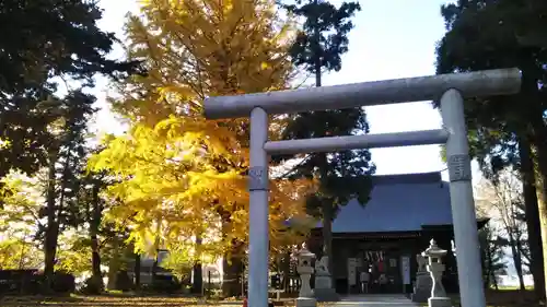 大宮神社の鳥居