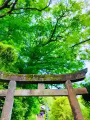 蚕影神社(茨城県)