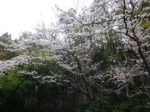 鶴岡八幡宮の自然