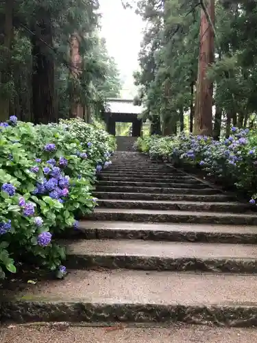 大中寺(栃木県)
