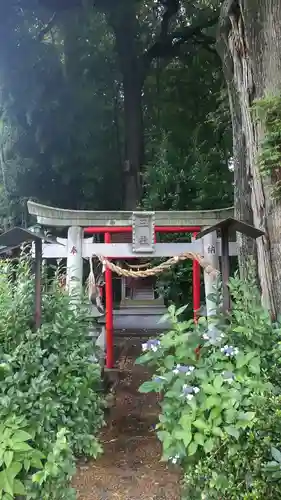 西窪稲荷神社(東京都)
