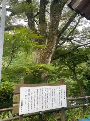 大宮神社(和歌山県)