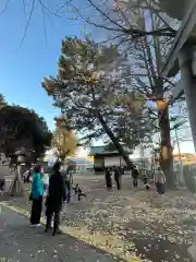 八幡神社(東京都)