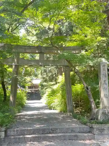 椎尾神社の鳥居