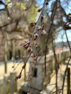 小川諏訪神社の{uncategorized: "未分類", other: "その他", undefined: "問題あり", building: "その他建物", grave: "お墓", sacred_gate: "鳥居", guardian: "狛犬", statue: "像", buddha: "仏像", history: "歴史", nature: "自然", garden: "庭園", animal: "動物", pagoda: "塔", temizu: "手水舎", mountain_gate: "山門・神門", sanctuary: "本殿・本堂", subordinate: "末社・摂社", art: "芸術", scenery: "景色", jizo: "地蔵", ema: "絵馬", goshuin: "御朱印", omikuji: "おみくじ", items: "授与品その他", amulet: "お守り", goshuincho: "御朱印帳", eats: "食事", festival: "お祭り", votive_dance: "神楽", shichigosan: "七五三参", wedding: "結婚式", experience: "体験その他", initially: "初詣", around: "周辺", anti_infection: "感染症対策"}