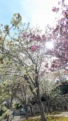 圓光寺(京都府)