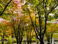 土津神社|こどもと出世の神さまの景色