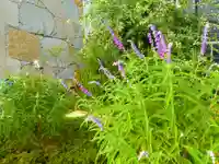 寿量山 速成寺(奈良県)