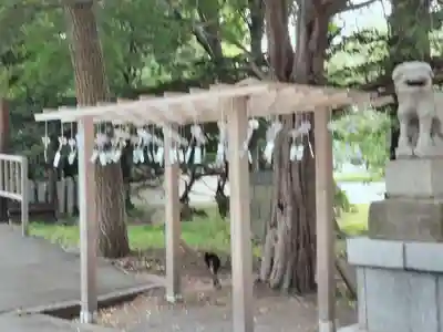 亀田八幡宮(北海道)